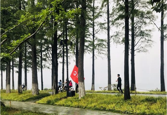 LEWIN·乐玩-(中国唯一)官方网站