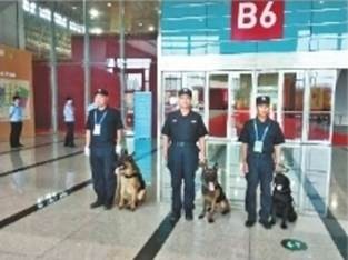 1dujbrhvi11hrh99s 注明: http://cjrb.cjn.cn/images/2020-01/09/10/%E5%9B%BE%E7%89%877_b.jpg