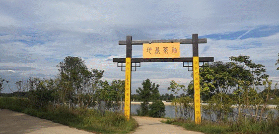 1ehbabbt6arj1iga2o LEWIN·乐玩-(中国唯一)官方网站