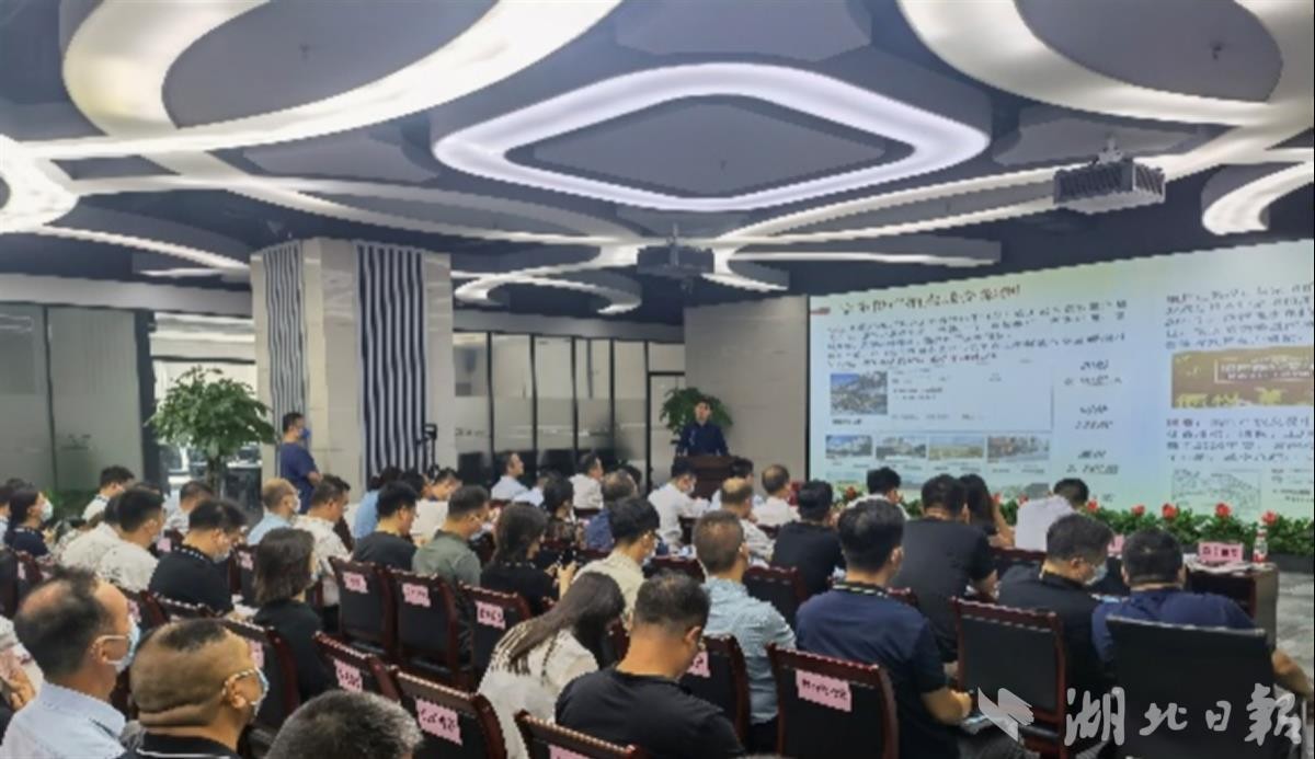 LEWIN·乐玩-(中国唯一)官方网站