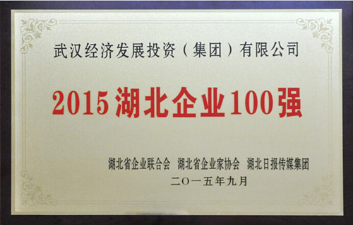 集团公司入选湖北企业100强-乐玩