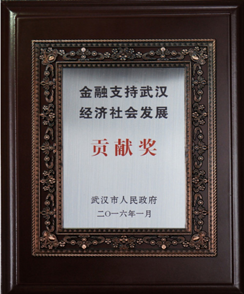 集团及所属公司获得市当局“乐玩支持武汉经济社会发展”赞美-乐玩