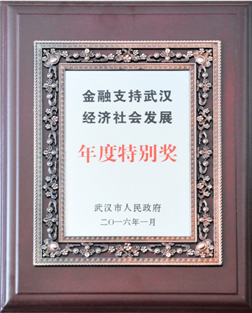 集团及所属公司获得市当局“乐玩支持武汉经济社会发展”赞美-乐玩