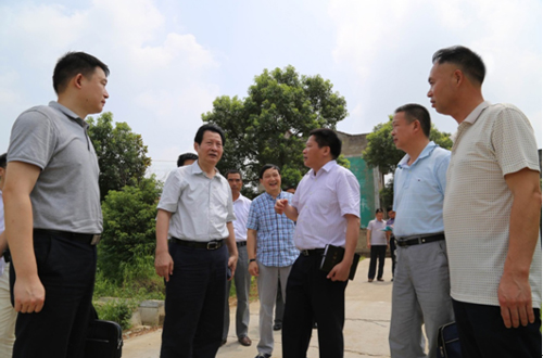 集团公司党委书记马小援赴扶贫点凤凰寨村调研慰问-乐玩