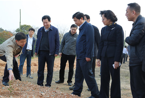 集团公司马董事长同市纪委辅导赴黄陂区实地调研扶贫攻坚工作-乐玩