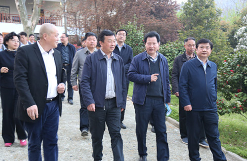 集团公司马董事长同市纪委辅导赴黄陂区实地调研扶贫攻坚工作-乐玩