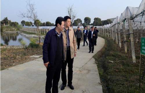 集团公司马董事长同市纪委辅导赴黄陂区实地调研扶贫攻坚工作-乐玩
