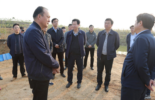 集团公司马董事长同市纪委辅导赴黄陂区实地调研扶贫攻坚工作-乐玩