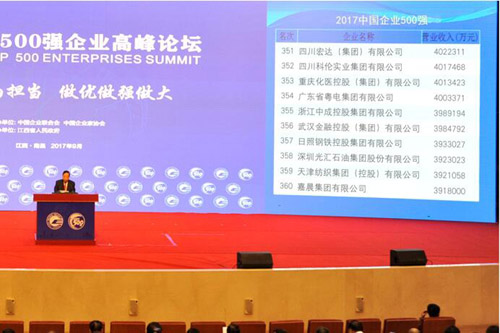 集团公司迈进中国企业500强第356名-乐玩